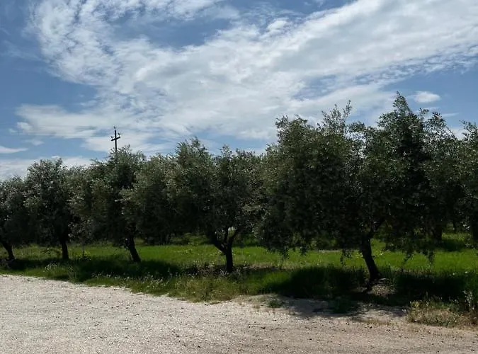 Il Casale Del Nonno Armando