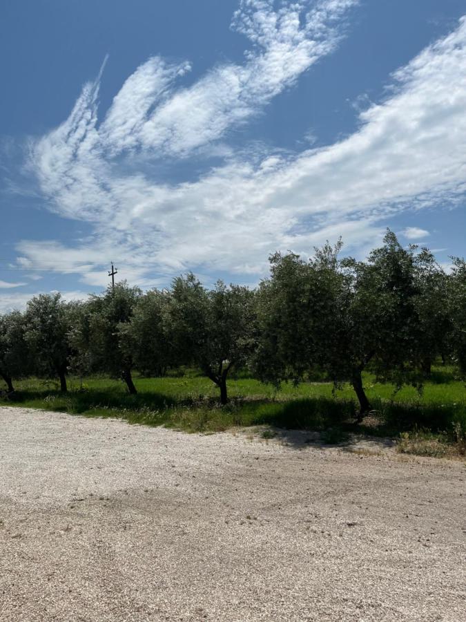 Il Casale Del Nonno Armando Holiday home *