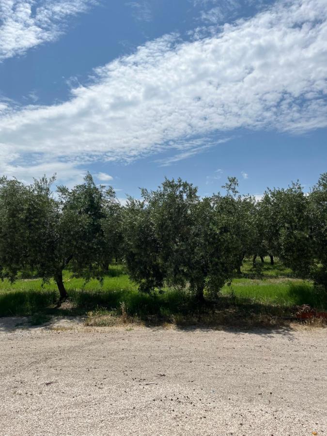 Il Casale Del Nonno Armando Holiday home Torrevecchia Teatina